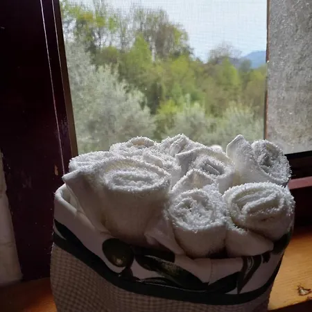 فيلة Casa Olivetta بيسيا