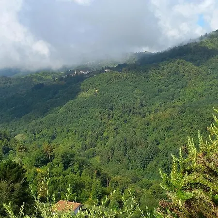 Casa Olivetta *