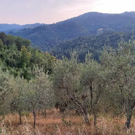 فيلة Casa Olivetta بيسيا